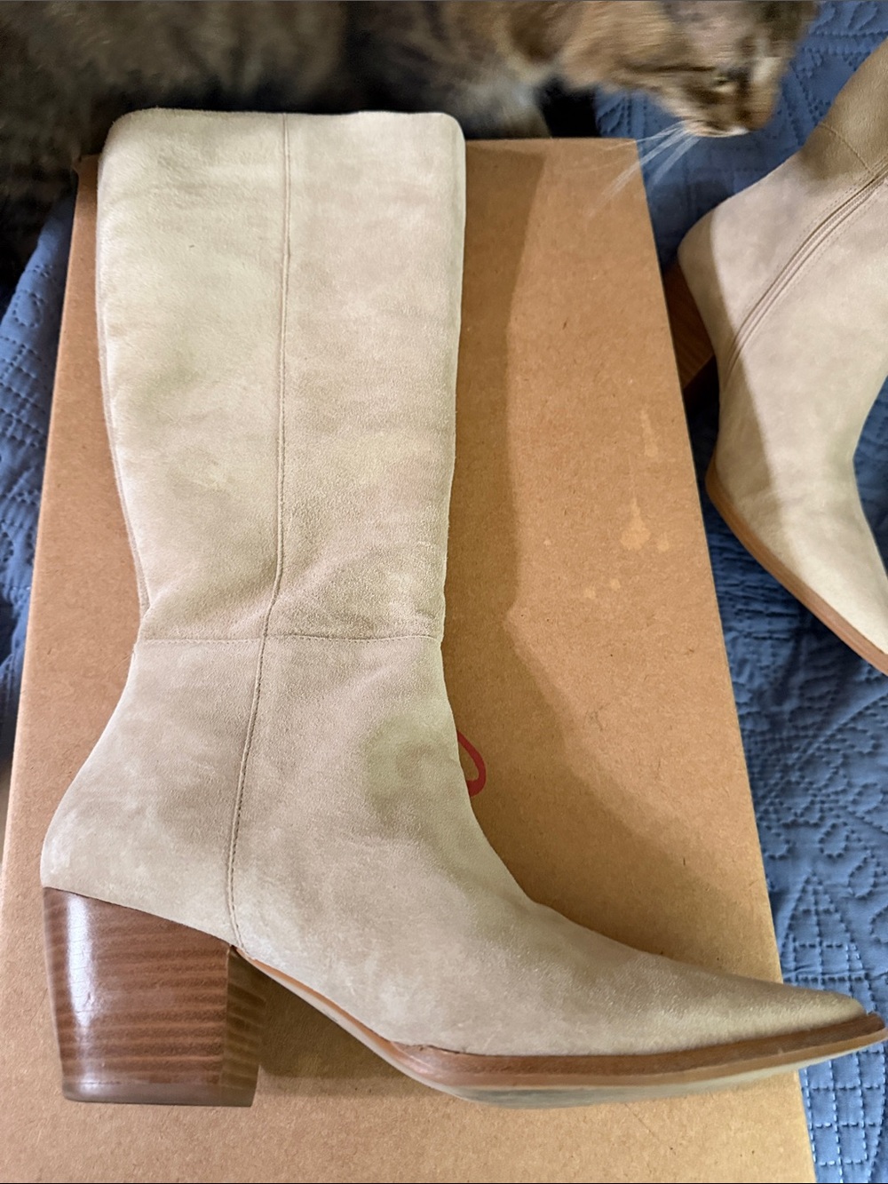 Matisse Oat Suede Knee Pointed-Toe Suede Boots - Picture 8 of 10